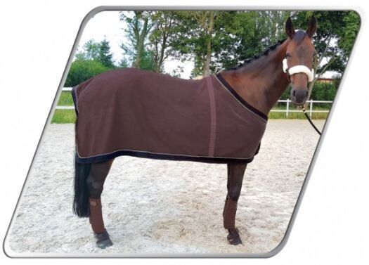 York blanket Ariel brown fleece for a horse