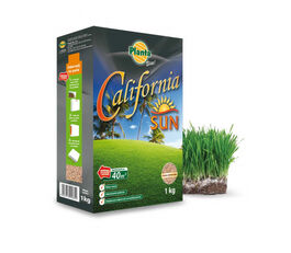 California Sun Grass Mixture 1kg