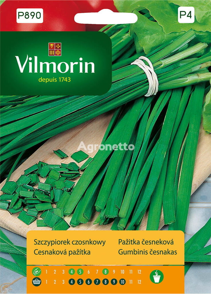 Vilmorin Chives-garlic 1g